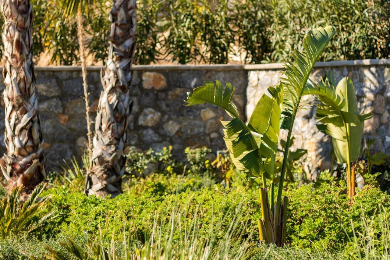 Istia Luxury Villas Karpathos Town  Exterior photo